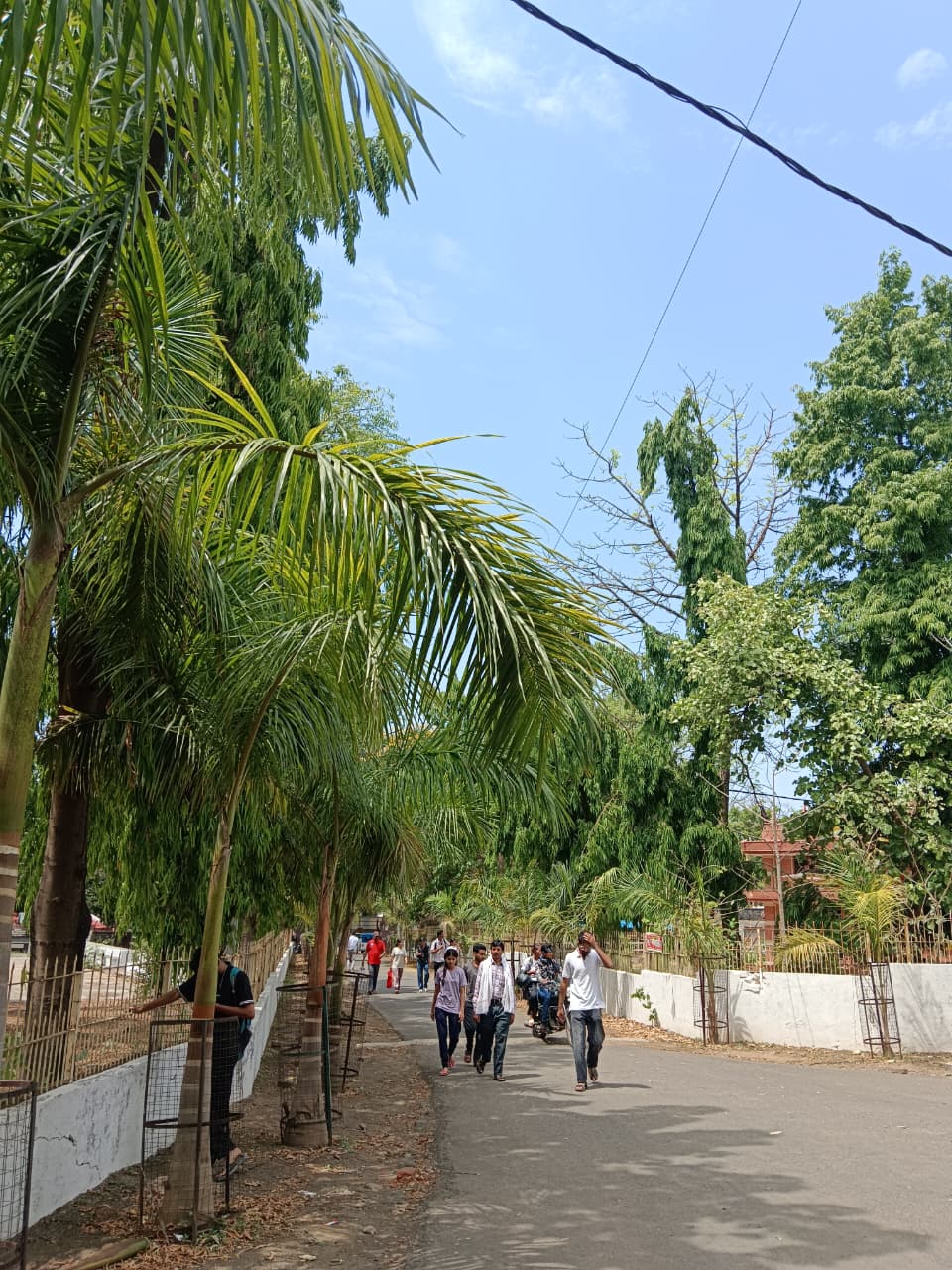 naidunia_image